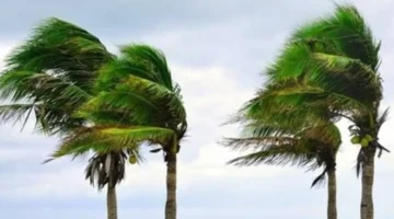 طقس الأسبوع.. خريطة انتشار الشبورة المائية ونشاط الرياح حتى 6 فبراير المقبل